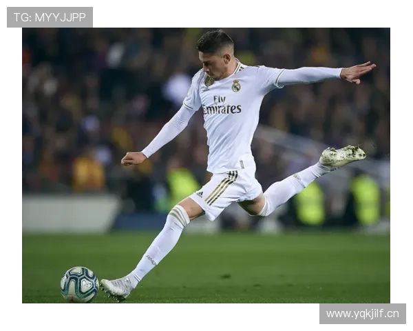 罗德里与巴尔韦德动力型中场角色对比及战术适配差异